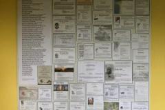 Spiekershausen-700-IMG_6965
