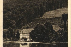 P005