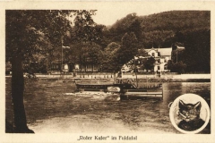 P013