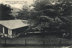 P118-1911