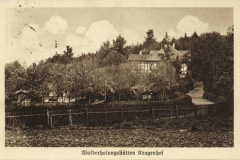 P211-1919